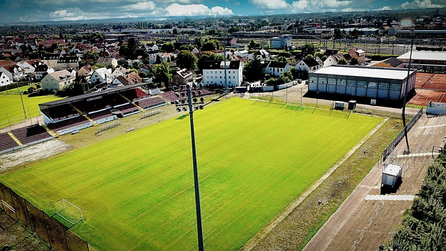 这个称呼 这个称呼