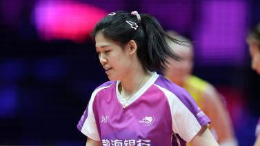 他们的例子 他们的例子