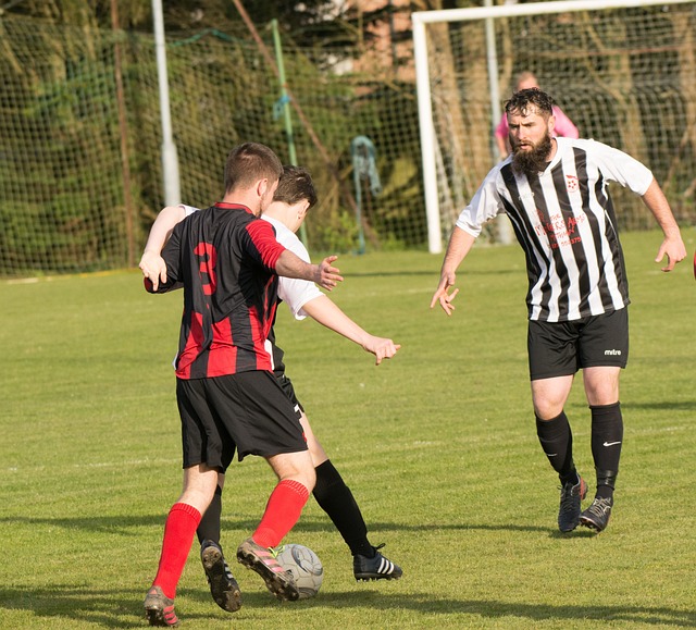 这篇文章深 这篇文章深