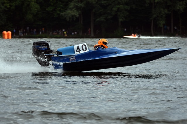 明了自己的 明了自己的