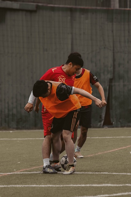 伊合组织表 伊合组织表