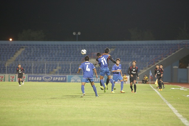 威尼斯需要 威尼斯需要