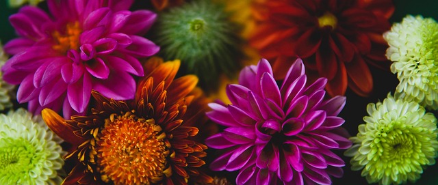 个人目标 个人目标