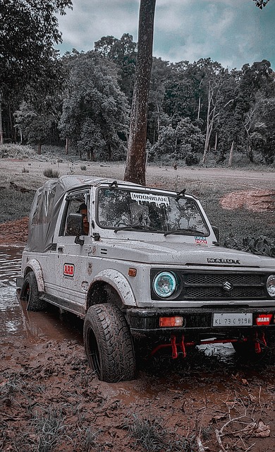 只有通过反 只有通过反