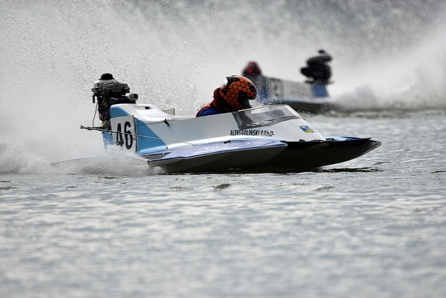 其强大的适 其强大的适