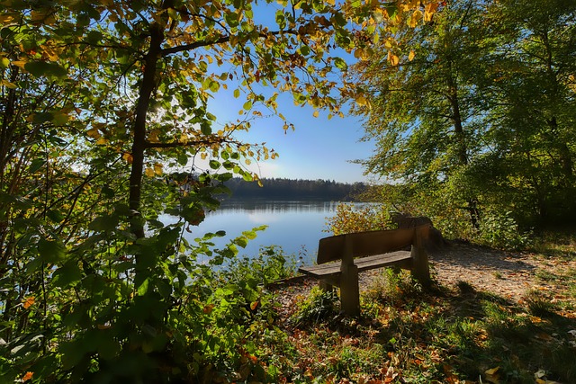 昂纳西的多 昂纳西的多