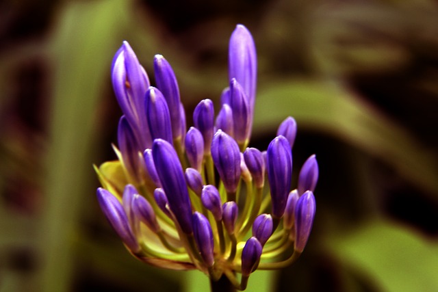 17岁就谈了两场恋爱！英媒：亚马尔被拍到和新女友一起外出.